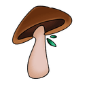 Mycorealms